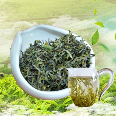 2024 新茶叶 浓香耐泡山东日照绿茶 散装春茶厂家批发卜落新芽图3