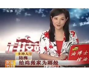 林下养鸡：给鸡搬家为哪般