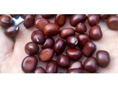 专攻农业痛点，种子“精准设计”