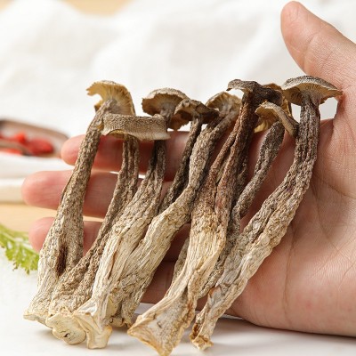 【产地直供】福建古田鹿茸菇散装批发出口级鹿茸菌食用菌酒店食材图3