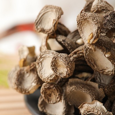 【产地直供】福建古田鹿茸菇散装批发出口级鹿茸菌食用菌酒店食材图4