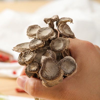 【产地直供】福建古田鹿茸菇散装批发出口级鹿茸菌食用菌酒店食材图2