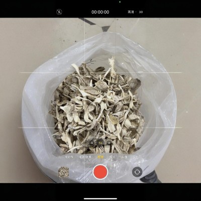 古田厂家直发干净无沙干货鸡腿菇 精挑规格鸡腿菇福建食用菌批发