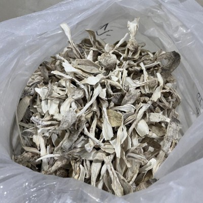 古田厂家直发干净无沙干货鸡腿菇 精挑规格鸡腿菇福建食用菌批发图3