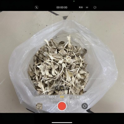 古田厂家直发干净无沙干货鸡腿菇 精挑规格鸡腿菇福建食用菌批发图5