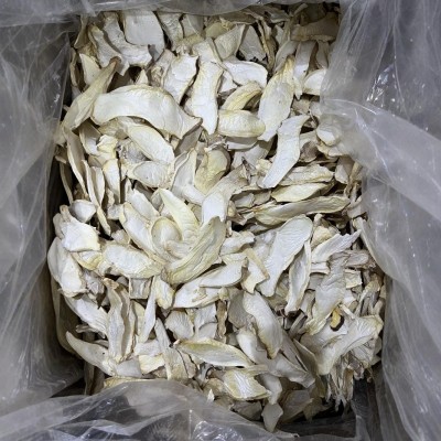 杏鲍菇片新鲜干货多规格长寿菇海鲜菇食用菌薄片煲汤 箱装批发