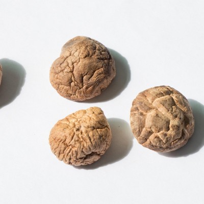 南北干货特产香菇干根短肉厚干香菇厚菇冬菇散装产地直批图4