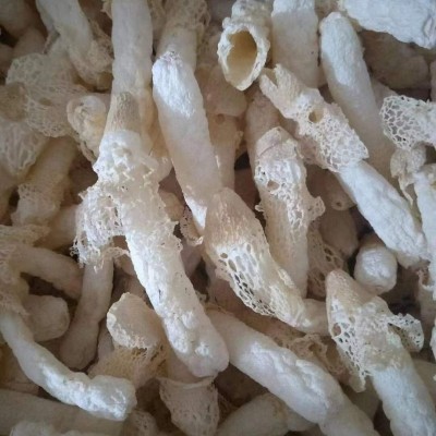 织金竹荪 贵州竹笙 60元/50克 16——20cm图3