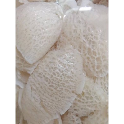 贵州竹荪 竹毛肚 大块 280元一斤图4