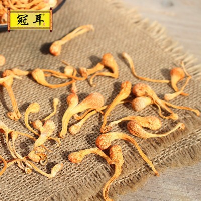 冠耳 虫草花干货 孢子头虫草花 蛹虫草 排草 乱草各规格 批发菌菇图3