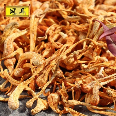 冠耳 虫草花干货 孢子头虫草花 蛹虫草 排草 乱草各规格 批发菌菇图2