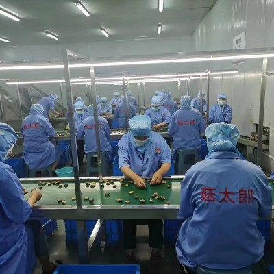 源头产地直销香菇干货4-5cm冬菇干可出口资质全种植基地备案图3