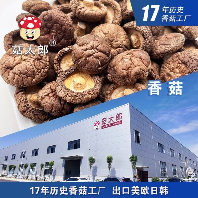 香菇干货冬菇干现货批发3-3.5cm干椎茸可出口日本可商检基地备案