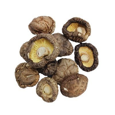 香菇干货冬菇干现货批发3-3.5cm干椎茸可出口日本可商检基地备案图5