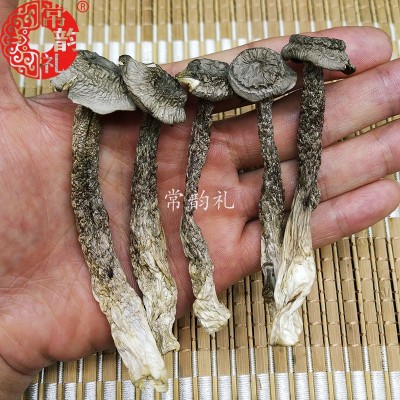 果福得特级鹿茸菇净重250克厂家直销鹿茸菇大量供应批发鹿茸菇图2