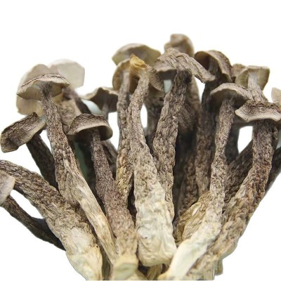 果福得特级鹿茸菇净重250克厂家直销鹿茸菇大量供应批发鹿茸菇图5