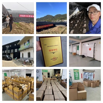 果福得羊肚菌种植基地大量现货新货头期净重250克羊肚菌干货图3