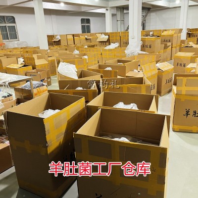 果福得羊肚菌种植基地大量现货新货头期净重250克羊肚菌干货图4