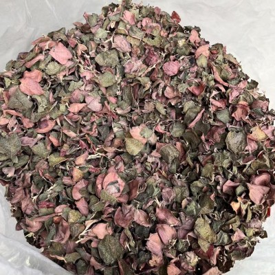 果福得 金线莲纯叶大叶片产地厂家大量批发金线莲养生茶500克图5