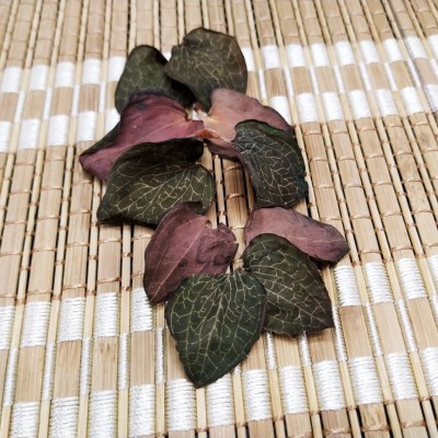 果福得 金线莲纯叶大叶片产地厂家大量批发金线莲养生茶500克图4