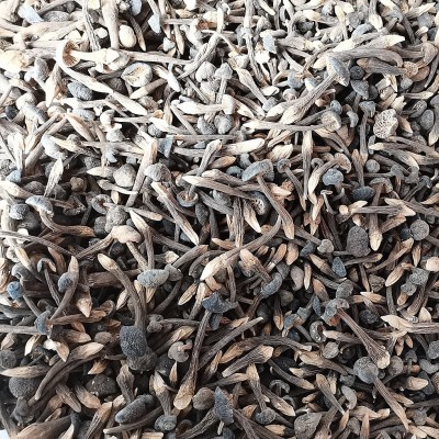 云南特产黑皮鸡枞干货2斤 食用菌菇小黑鸡枞 食用农产品一件代发图3