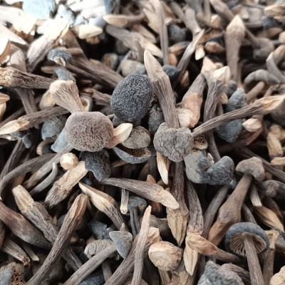 云南特产黑皮鸡枞干货2斤 食用菌菇小黑鸡枞 食用农产品一件代发图4