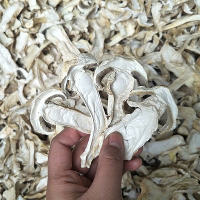 云南特产球盖菇干货2斤 雪山松茸 赤松茸干片 菌菇 特产农产品图2