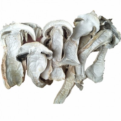 云南特产球盖菇干货2斤 雪山松茸 赤松茸干片 菌菇 特产农产品图4