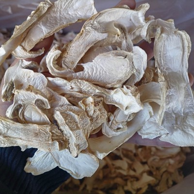 云南特产球盖菇干货2斤 雪山松茸 赤松茸干片 菌菇 特产农产品图5