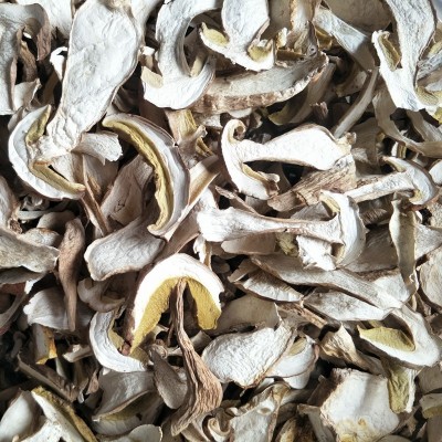 云南特产美味牛肝菌2斤 干货白牛肝菌 食用大脚菌菇干片图5