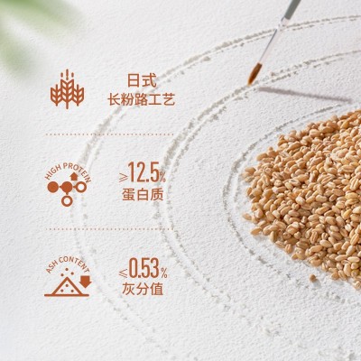 新良大师披萨专用粉1kg家用烘焙高筋面粉意式披萨佛卡夏小麦粉图3