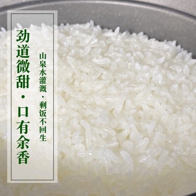 光辉穗月有机五常大米稻花香1kg*5共10斤东北新米厂家批发代发图3