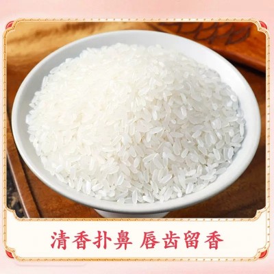 2025五常大米稻花香米10斤5斤大米5kg一袋东北大米新米厂家代发