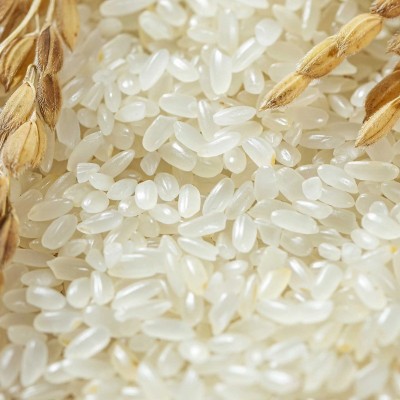 五常大米GB/T19266真空十斤新米长粒香米现磨现发东北长粒大米图2