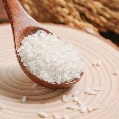 五常大米GB/T19266真空十斤新米长粒香米现磨现发东北长粒大米图3