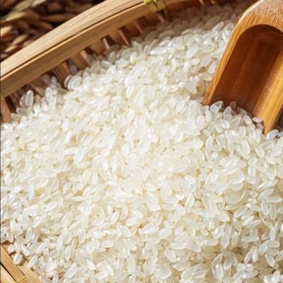 五常大米GB/T19266真空十斤新米长粒香米现磨现发东北长粒大米图4