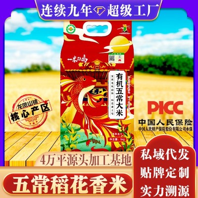 25年特等新米五常大米龙凤山稻花香米5斤10斤东北长粒大米5kg一袋