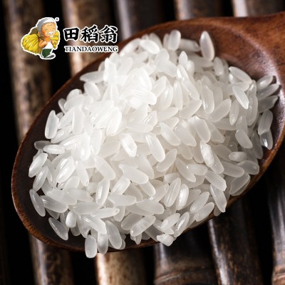 黑龙江五常大米20斤东北大米新米农家香米10kg现磨便宜批发包邮图4