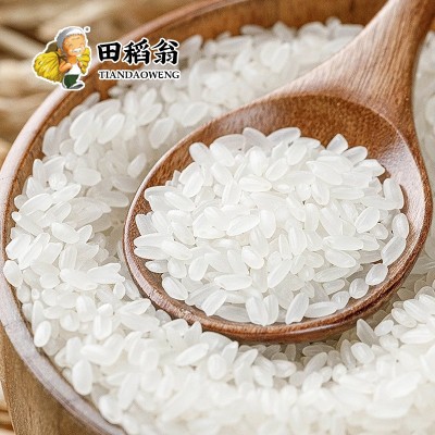 黑龙江五常大米20斤东北大米新米农家香米10kg现磨便宜批发包邮图3