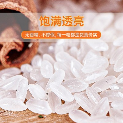 东北原产火山黑土石板米5kg当季新米长粒米真空锁鲜产地直发批发图2