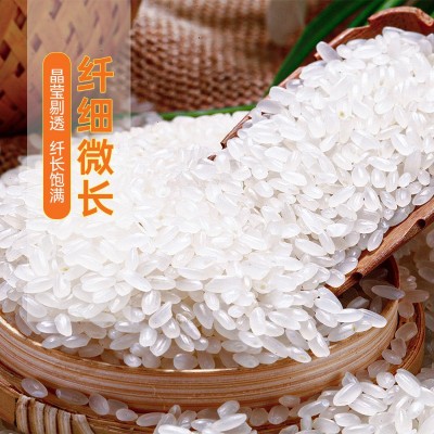 东北长粒香米25kg今年大米25年新米50斤可粥可饭好米囤货图3