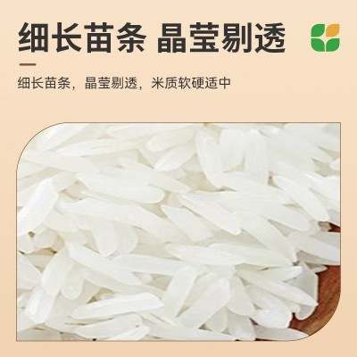 主食晶莹剔透厂家批发大米软硬适中米饭细长吉象华农紫象香丝苗米图2