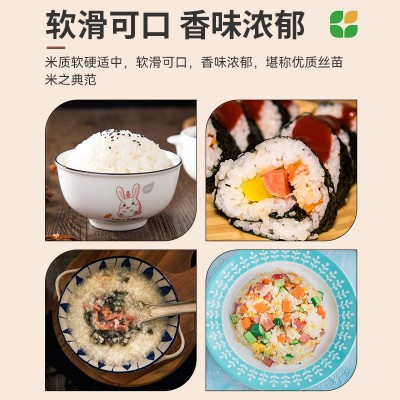 主食晶莹剔透厂家批发大米软硬适中米饭细长吉象华农紫象香丝苗米图3