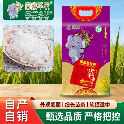 主食晶莹剔透厂家批发大米软硬适中米饭细长吉象华农紫象香丝苗米图4