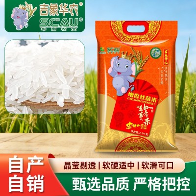 2.5KG细长苗条大米厂家批发主食米饭软滑可口吉象华农增香丝苗米