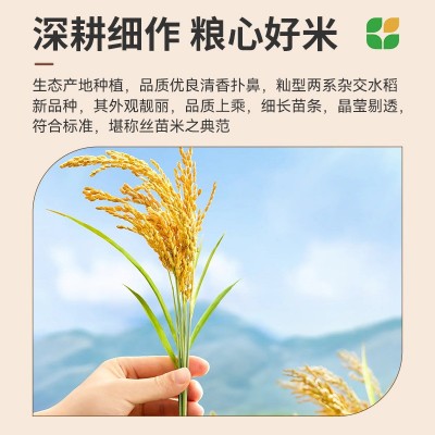 2.5KG细长苗条大米厂家批发主食米饭软滑可口吉象华农增香丝苗米图2