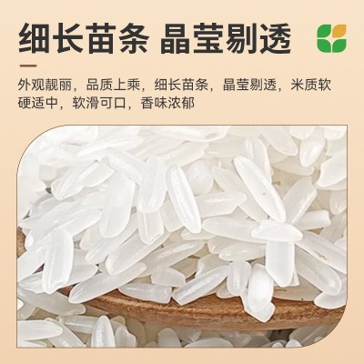 2.5KG细长苗条大米厂家批发主食米饭软滑可口吉象华农增香丝苗米图3