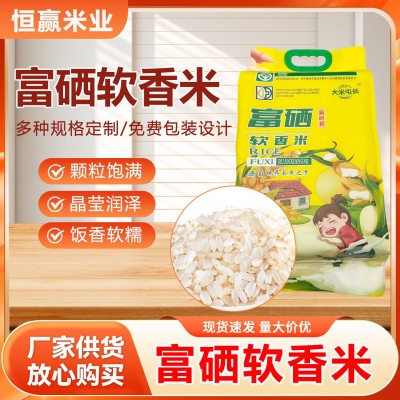 厂家供应当季新米江苏大米胚芽米优质稻米珍珠米香米富硒米