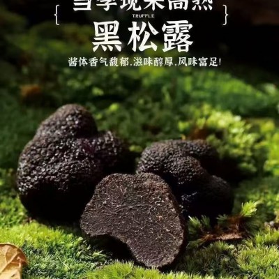 黑松露风味酱原味调味酱意面牛排西餐披萨黑松露酱煲仔饭调味酱料图3