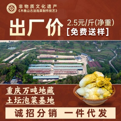 泡儿菜一件代发七可涪陵泡菜儿菜腌制下饭菜酸菜大头菜小菜泡椒味图2